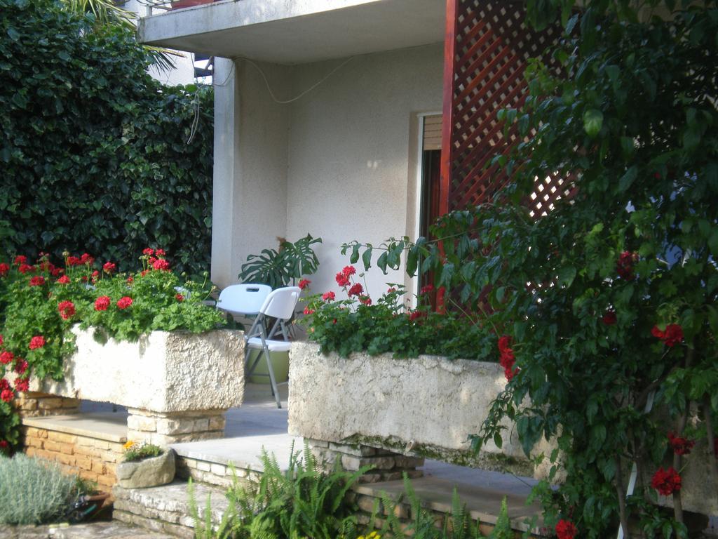 Apartman Ms *