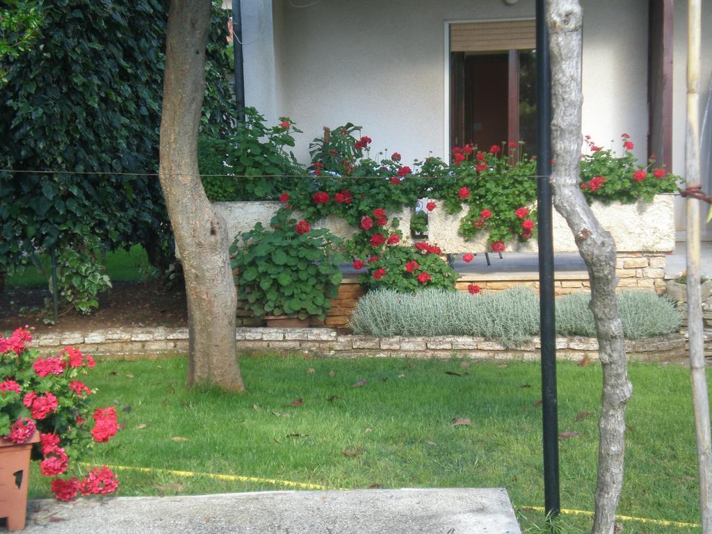 Ms Apartman Pula