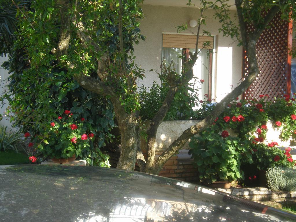 Apartman Ms *